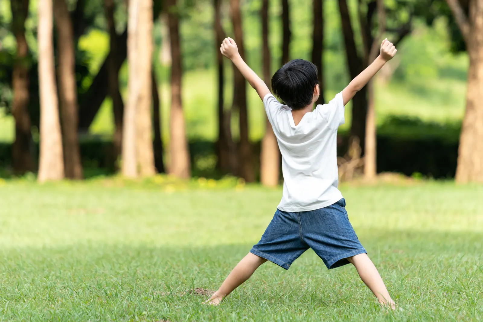 緑の芝生の上で両手を上げて喜ぶ、後ろ姿の子ども